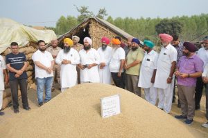 ਕਿਸਾਨਾਂ ਦੀ ਫ਼ਸਲ ਦਾ ਇੱਕ-ਇੱਕ ਦਾਣਾ ਖਰੀਦਣ ਲਈ ਮਾਨ ਸਰਕਾਰ ਵਚਨਬੱਧ: ਡਿਪਟੀ ਸਪੀਕਰ ਰੌੜੀ ਕਿਸਾਨਾਂ ਦੀ ਫ਼ਸਲ ਦਾ ਇੱਕ-ਇੱਕ ਦਾਣਾ ਖਰੀਦਣ ਲਈ ਮਾਨ ਸਰਕਾਰ ਵਚਨਬੱਧ: ਡਿਪਟੀ ਸਪੀਕਰ ਰੌੜੀ